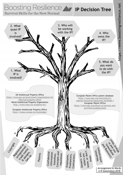 Boosting resilience IP Decision Tree graphic