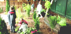 Creative Partnerships – Growing connections