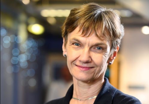 Headshot of Sue Hoyle