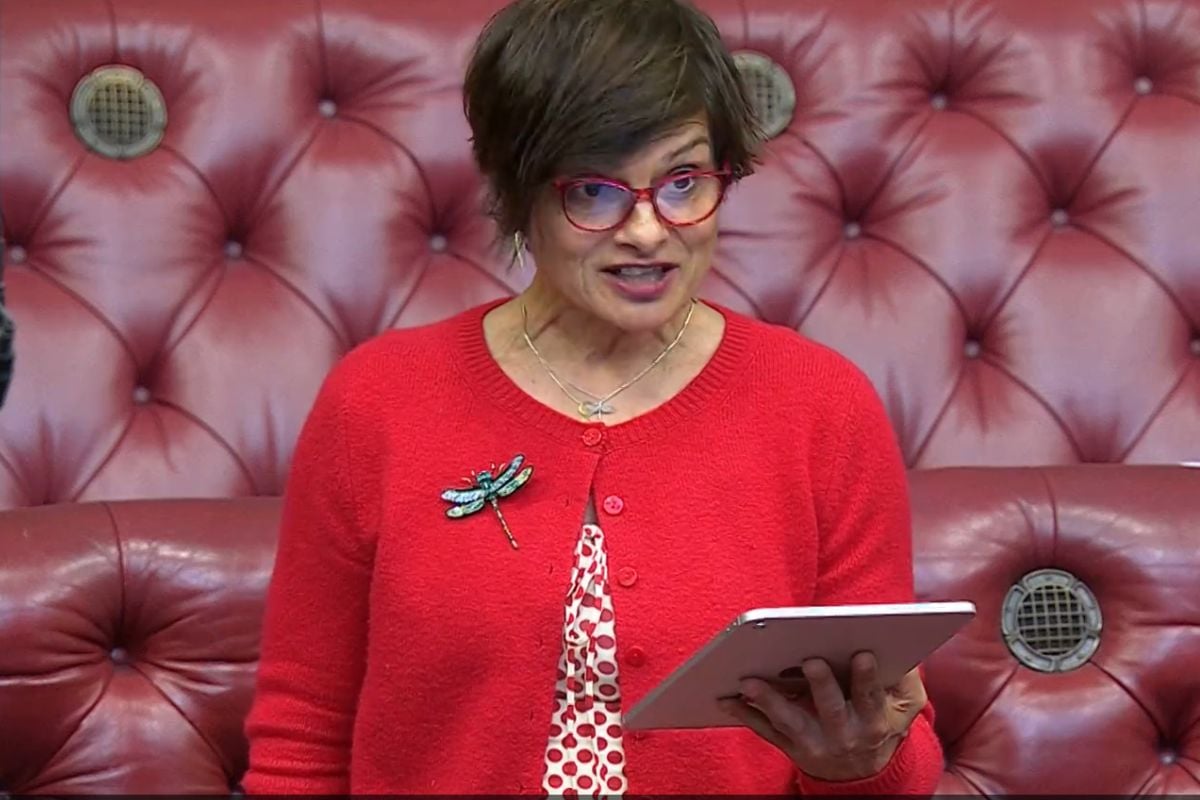 Thangam Debbonaire - Parliment live TV June 2025