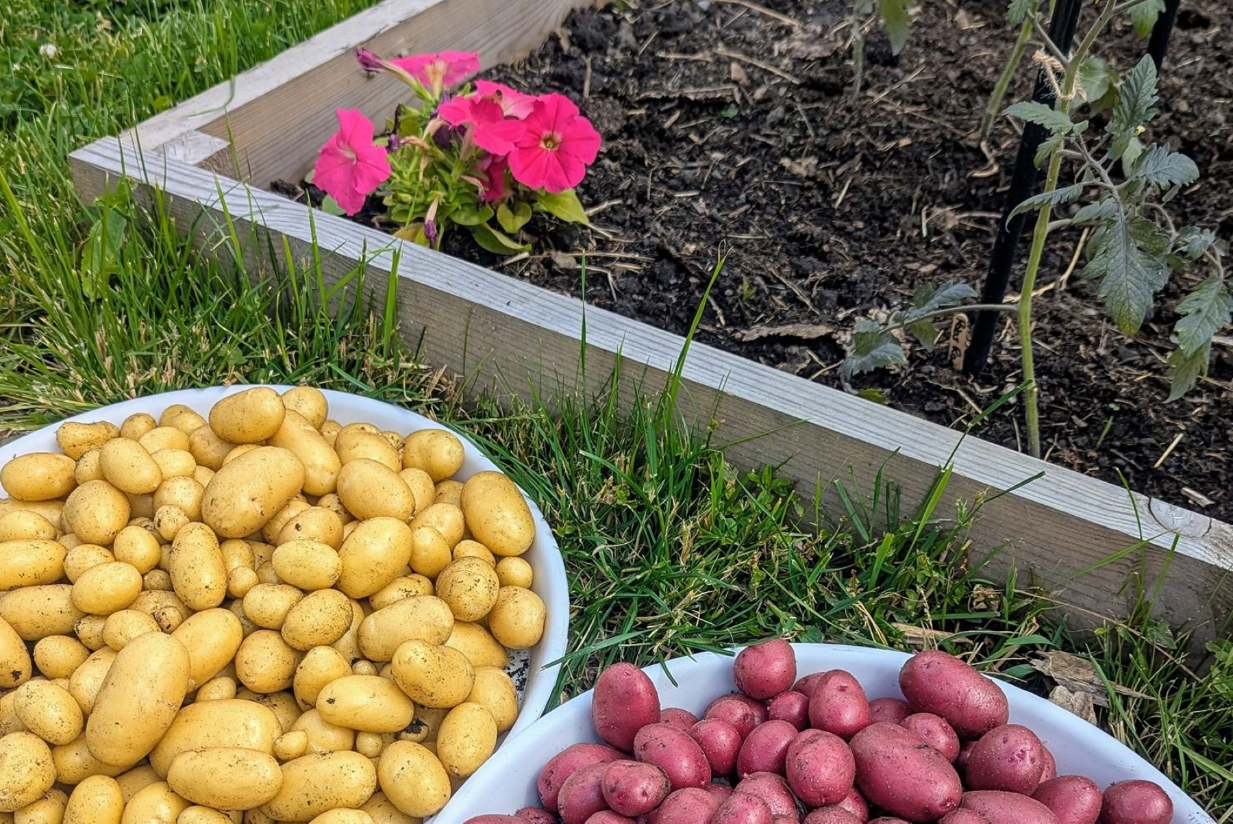 Can you do digital sustainably?