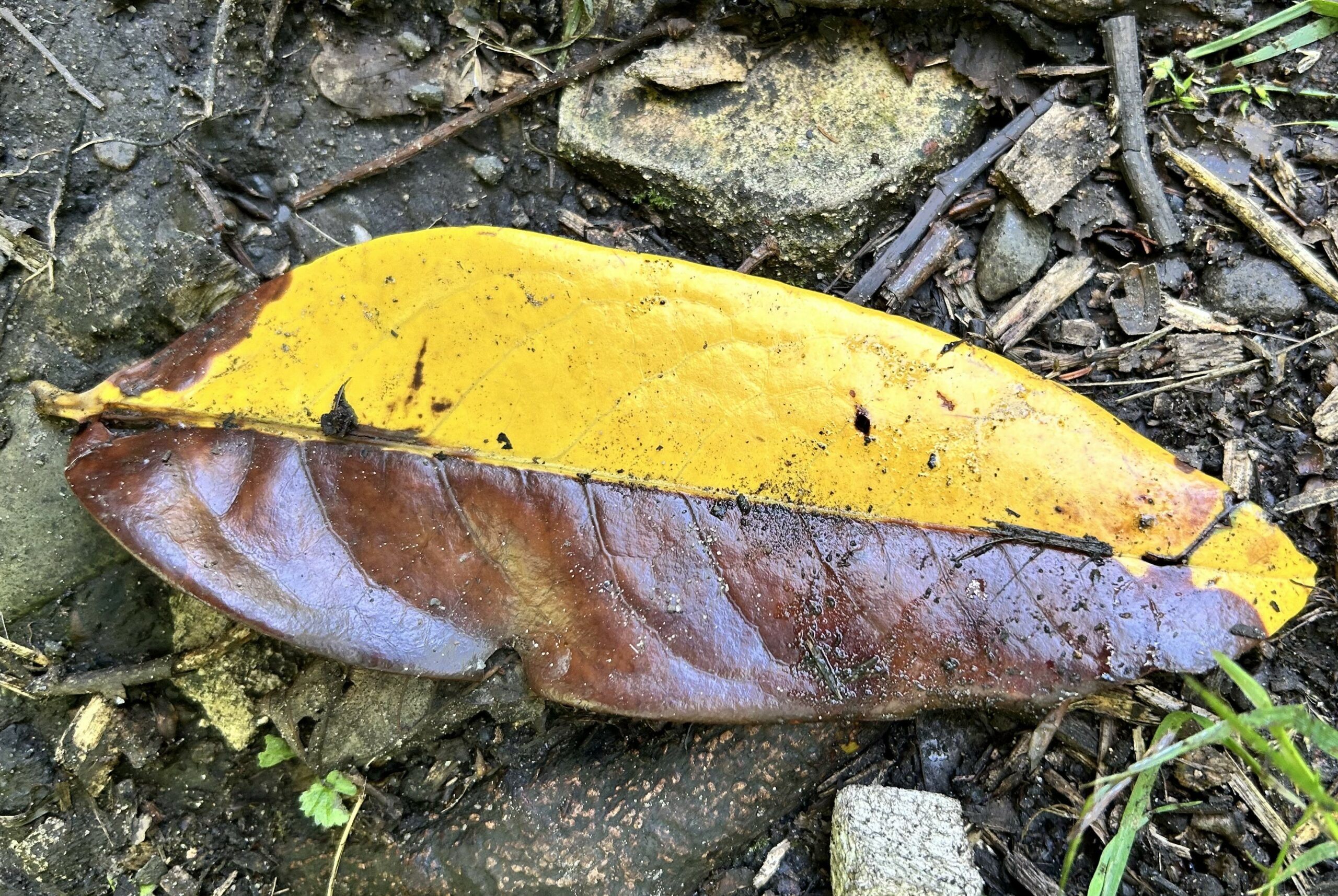 Artists' lives: Ecologies for resilience