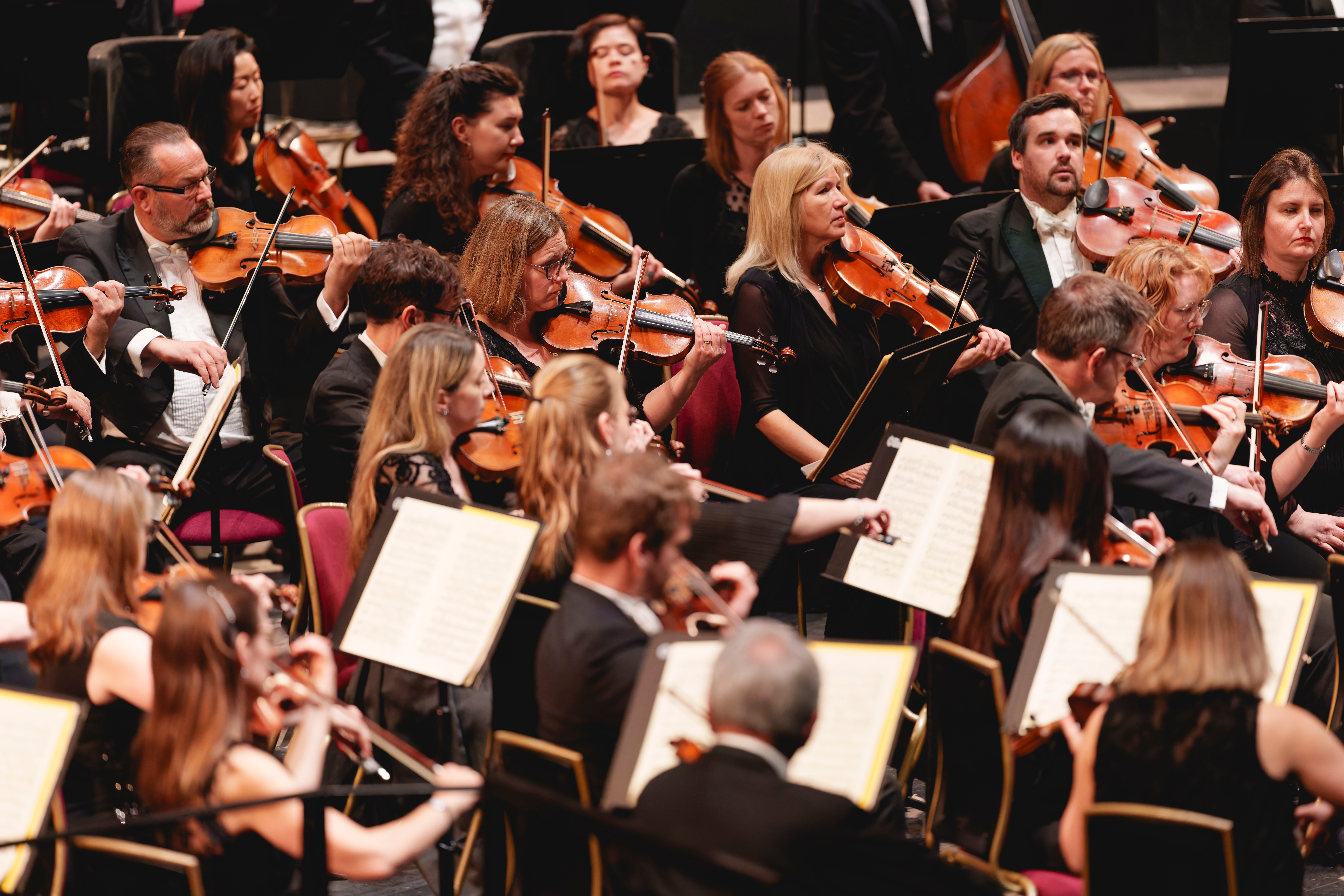 Maxim Vengerov performs Sibelius with the RPO, Vasily Petrenko conducting 25-5-25