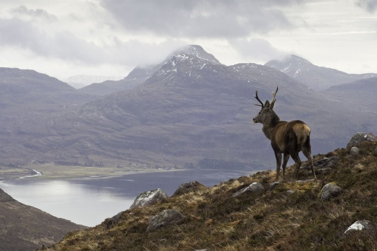 In other news: Highlands tourist tax, Odyssey's epic sales + fair pay for Church singers
