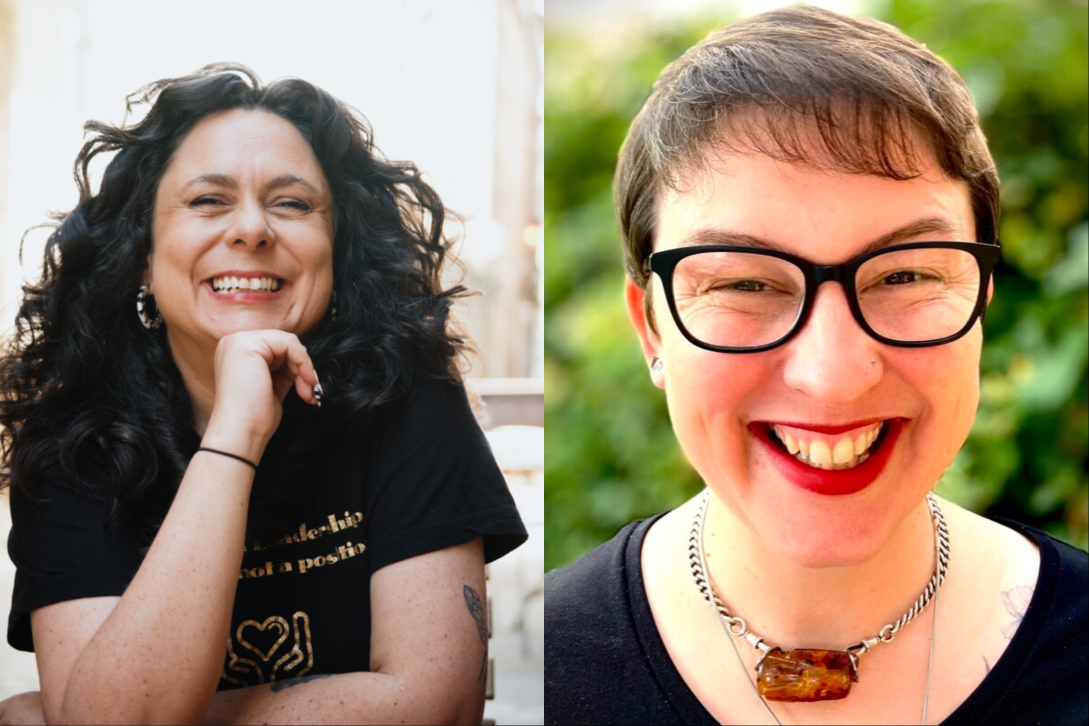 Government announces appointment of two freelance champions
