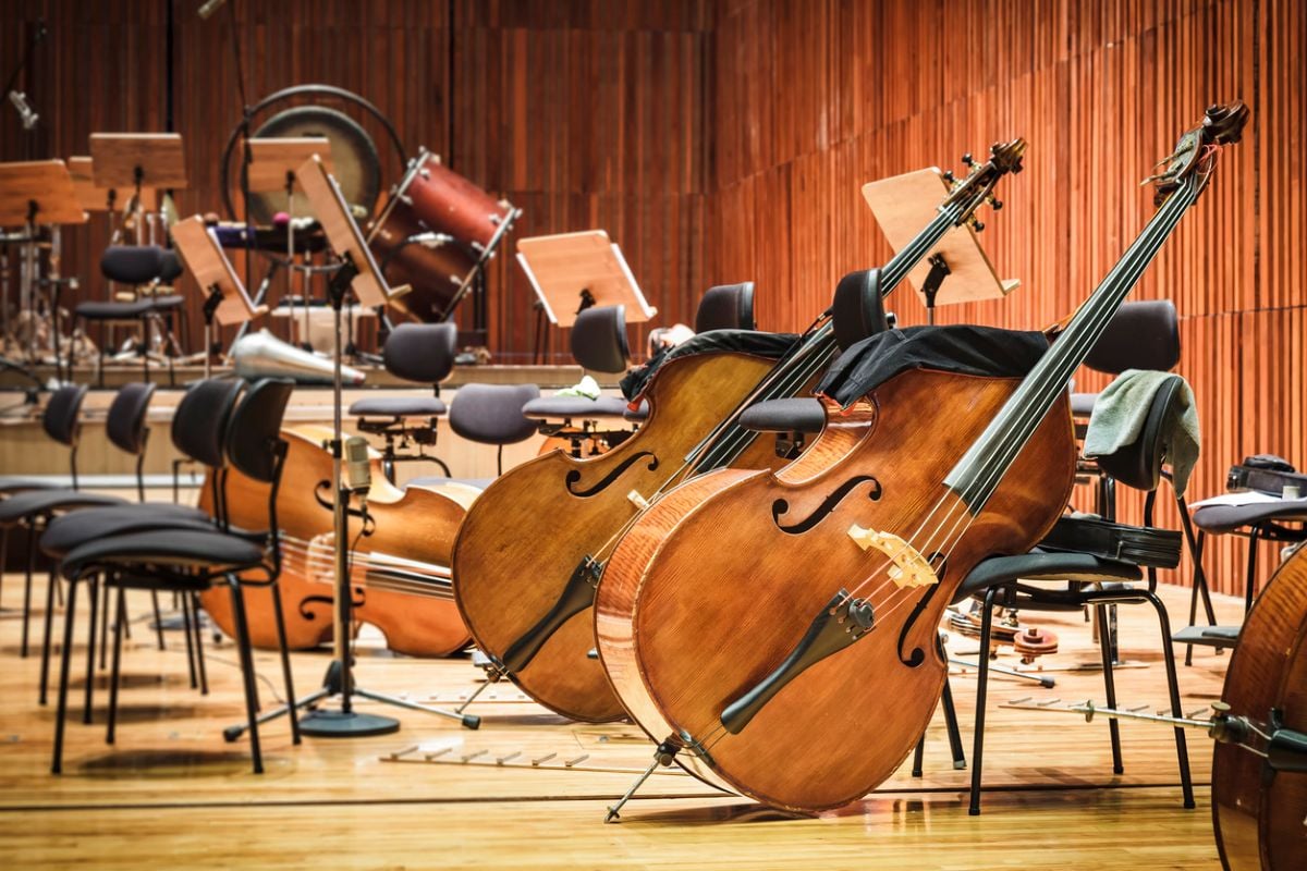 Association of British Orchestras calls for tax relief extension as Healey addresses conference