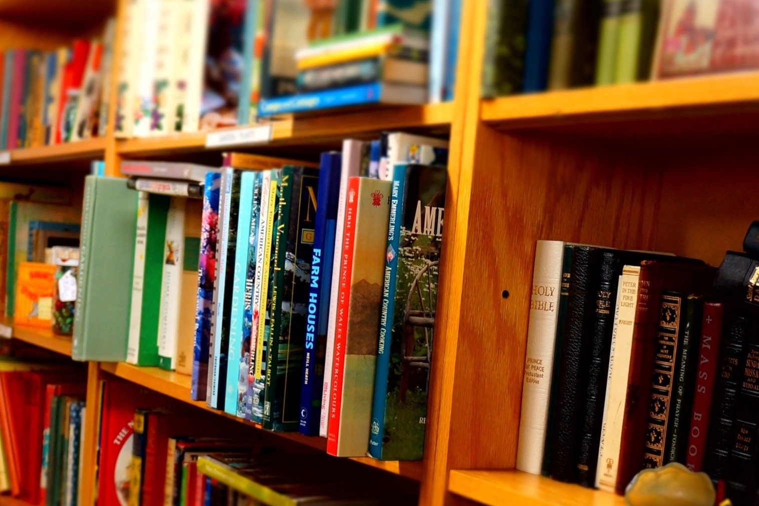 Welsh government commits over £500k to support museums, archives and libraries