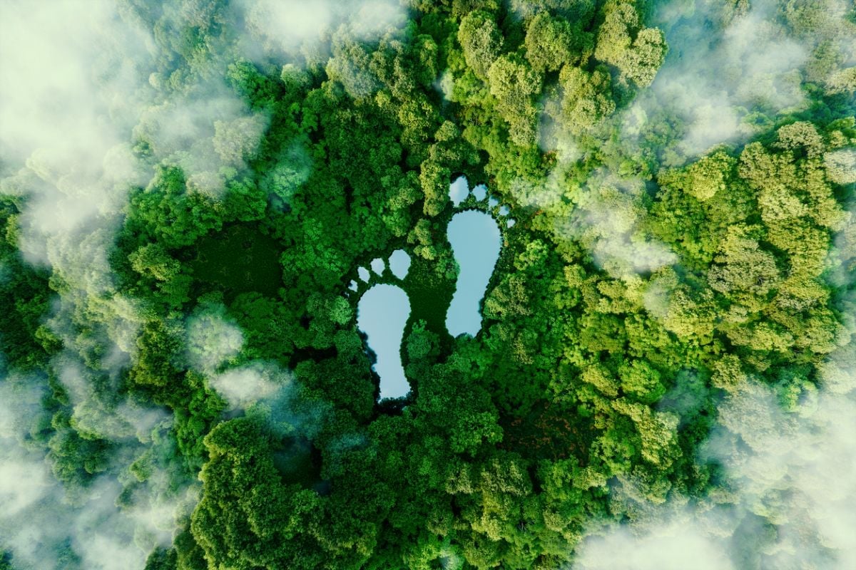 Digital sustainability: What are we trying to optimise?