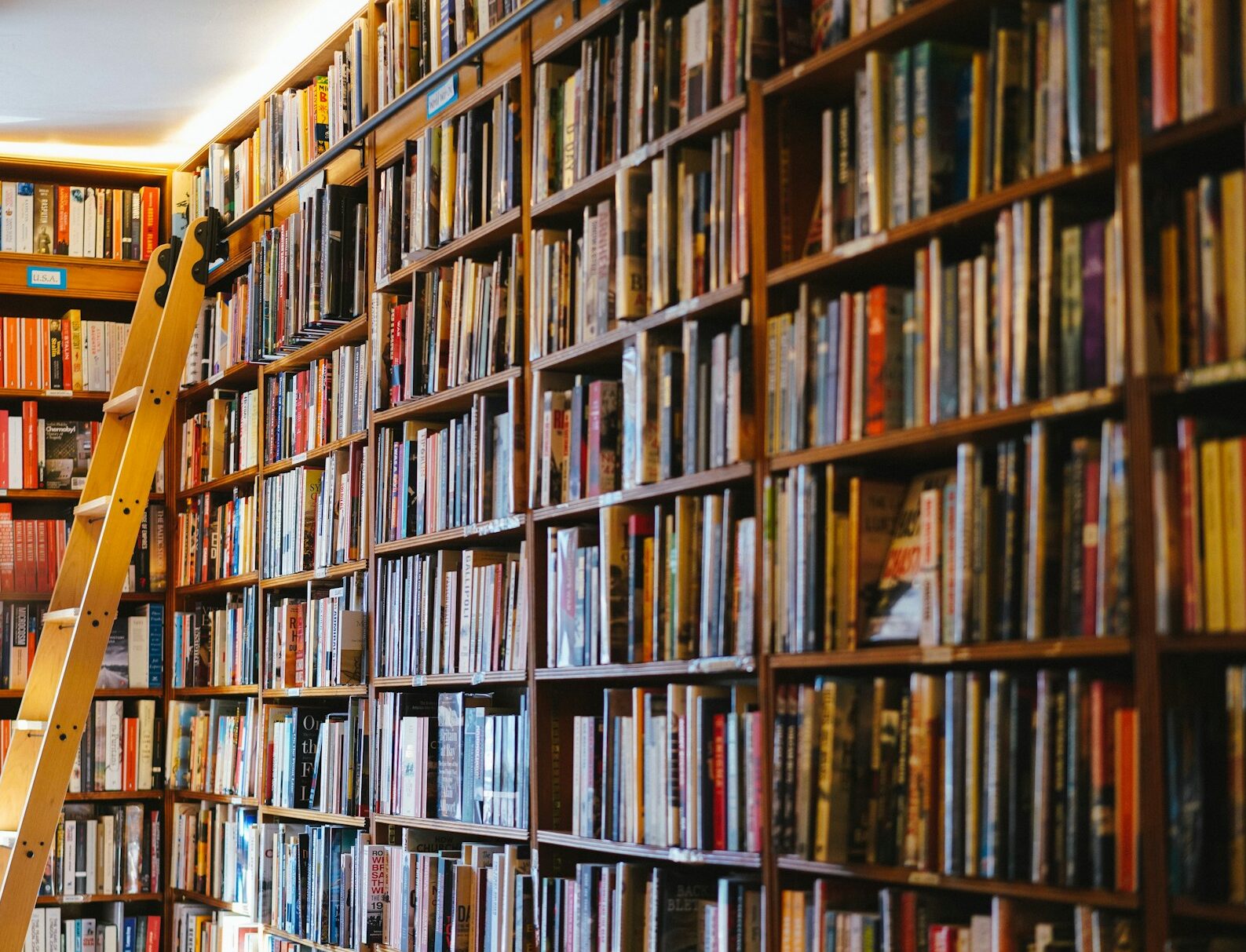 New research set to examine investment needs of England’s public libraries 