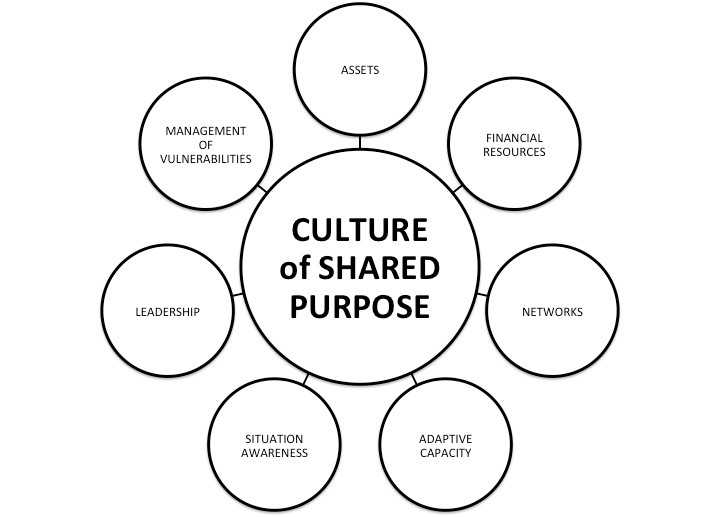 graphic showing culture of shared purpose