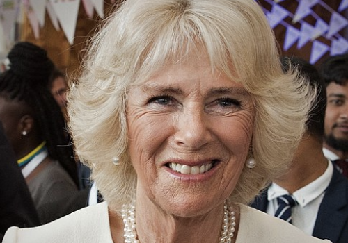 Camilla becomes National Theatre's Royal Patron | Changing faces ...