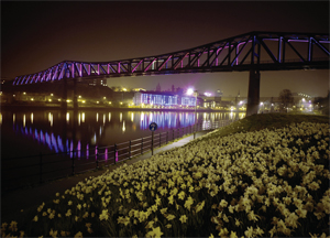 The QEII Bridge is illuminated in purple light