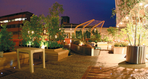 New roof garden for Lyric Theatre