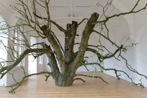 A tree trunk inside an art gallery