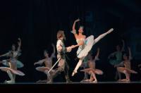 A photo of a ballet performance