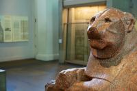 Statue of a big cat within the British Museum