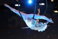 Photo of an aerial performer
