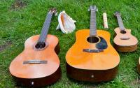 Photo of guitars