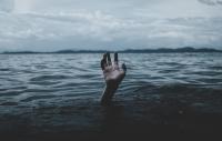 Photo of a lone hand rising up out of the water in a lake