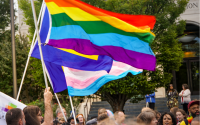 protestors hold up a pride flag and trans flag