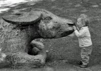 Photo of a toddler with bull statue