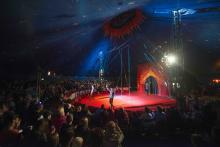 Image of Circus Starr performance