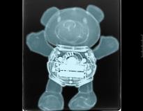 Image of x-ray teddy