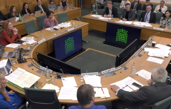 Image of parliamentary committee room with culture leaders giving evidence to MPs