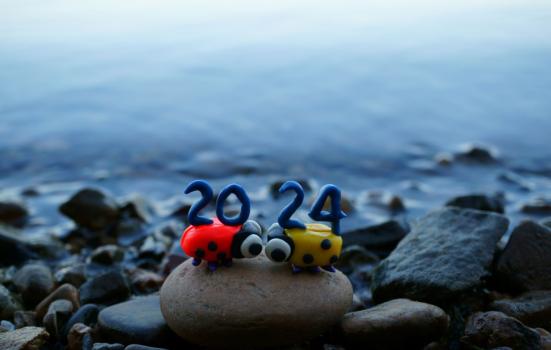Graphic of maybugs sitting on pebbles in a river, holding the date 2024