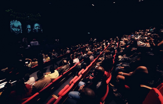 Photo of audience in dark theatre