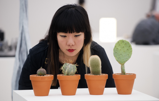 Photo of someone looking at a cactus