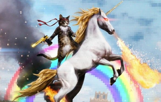 Photo of a cat riding a unicorn