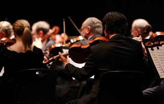 violinists play classical music in an orchestra