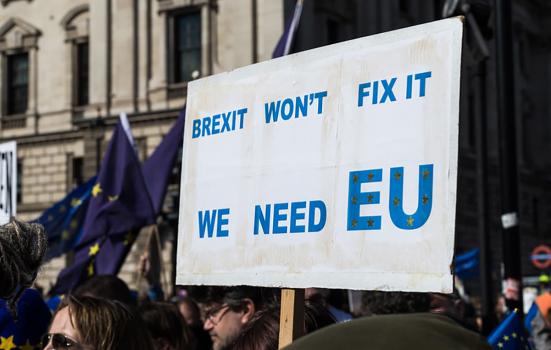 anti-Brexit banner being held up at a demo