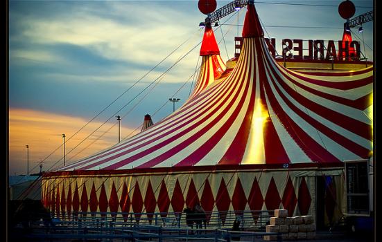 Photo of a circus tent