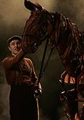 A photo from the Warhorse production
